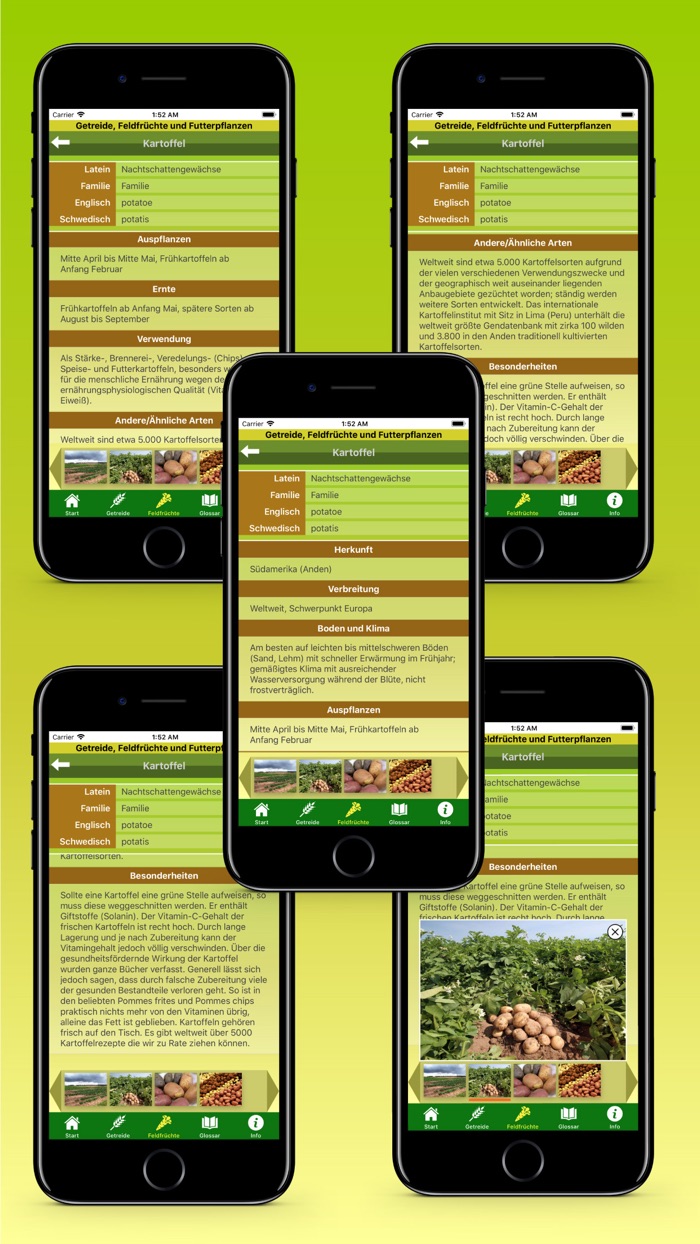 Getreide und Feldfrüchte