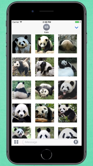 Funny Lazy Panda Stickers(圖2)-速報App