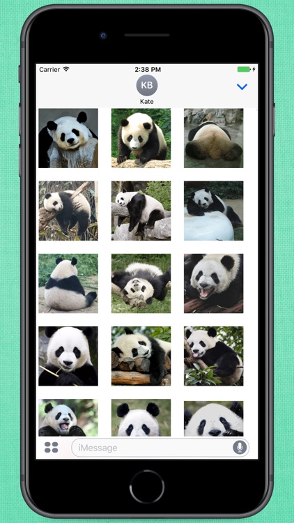 Funny Lazy Panda Stickers