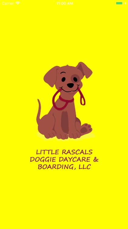 Little Rascals Doggie Daycare