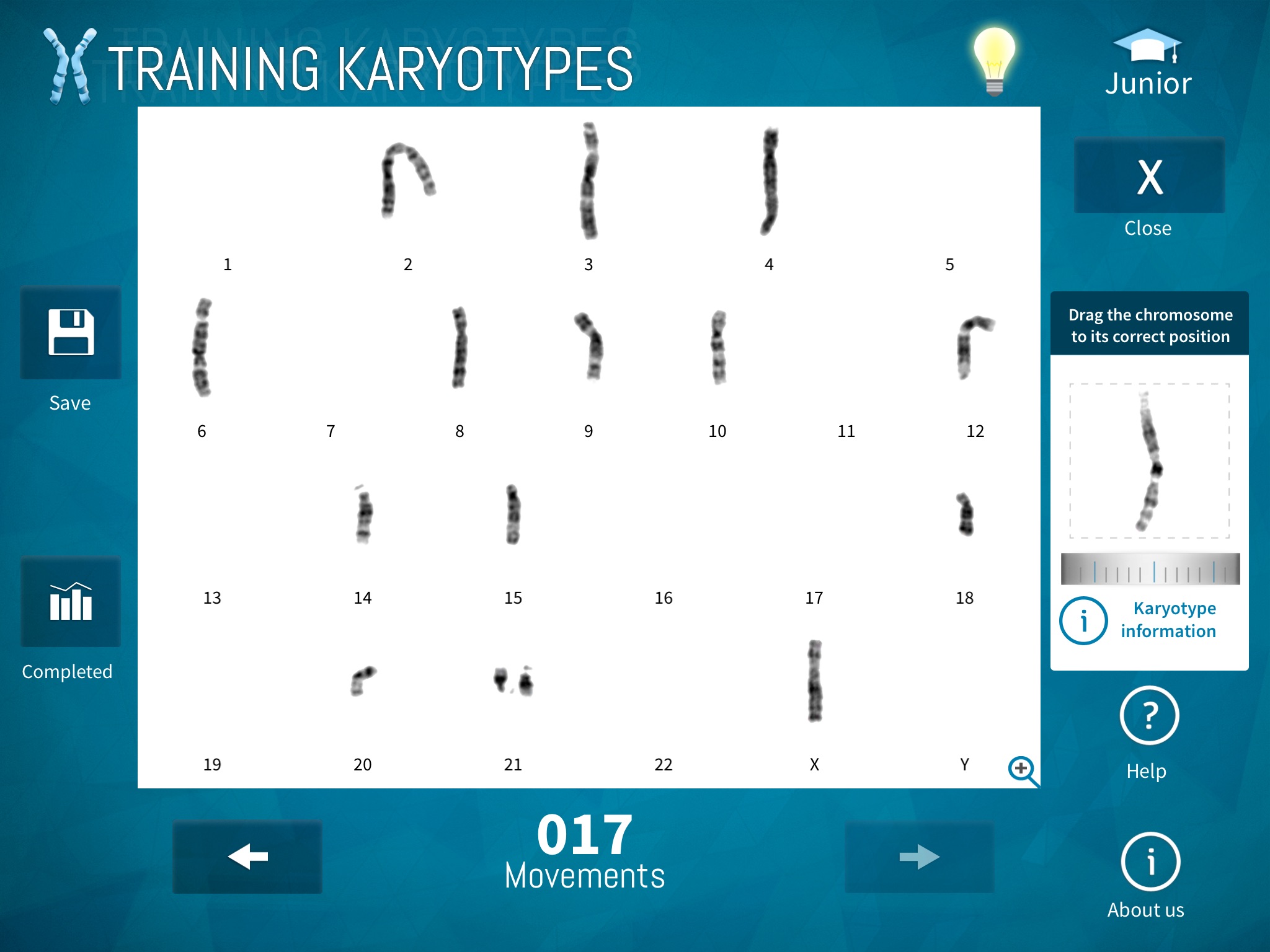 Training Karyotypes screenshot 2