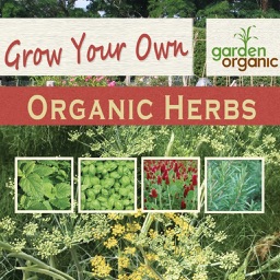 Grow Your Own Organic Herbs