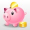 The 'CashFlow' is a simple asset management software