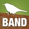 Do you want to quickly find and learn the 4-letter codes which bird banders use to record each species