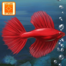 Activities of Fish Tycoon