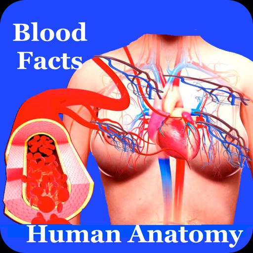 Human Anatomy Blood Facts 2000 Icon