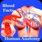 Human Anatomy Blood Facts 2000