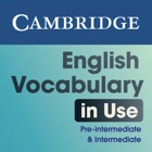 Vocabulary in Use Intermediate