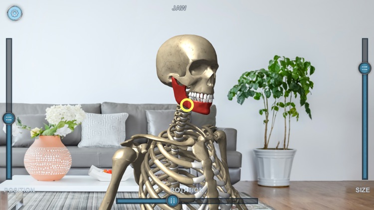 Virtual Skeleton