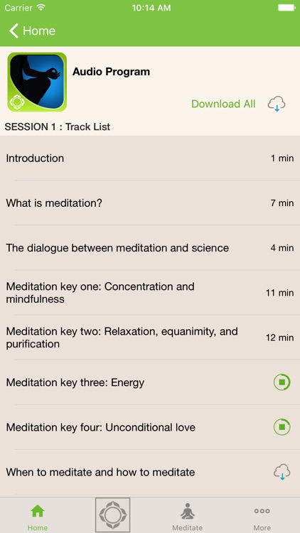 Meditation - Shinzen Young