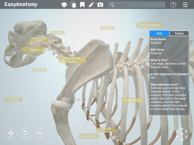 easyanatomy 3d canine anatomy on the app store easyanatomy 3d canine anatomy on the app store