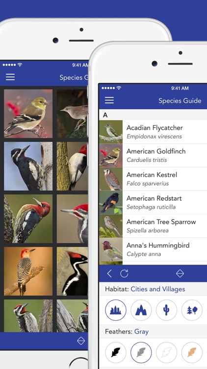 iKnow Birds PRO - USA