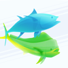 no app image