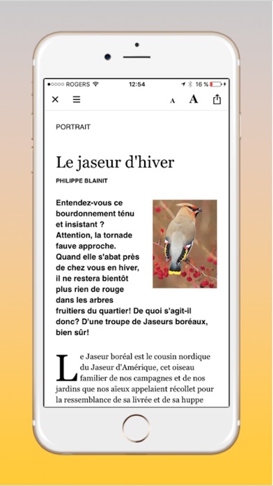 Magazine QuébecOiseaux screenshot 4