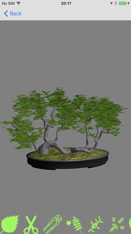 Bonsai Master screenshot-4