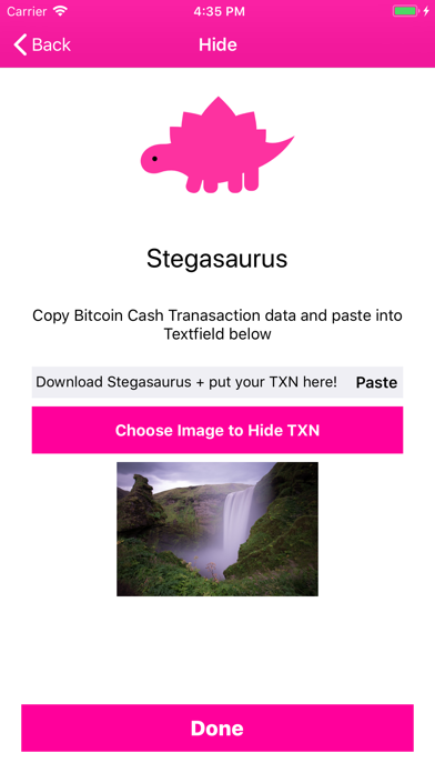 Stegasaurus screenshot 2