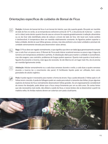captura de ecrã 2