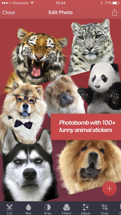 Pixomatic - layer based photo editor