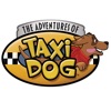 Maxi the Taxi Dog
