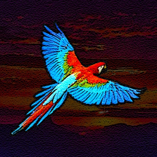 Birdistry icon
