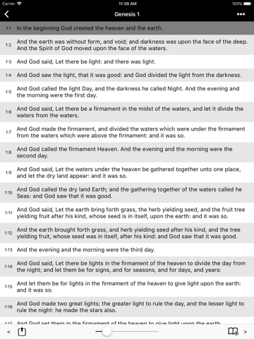 Bible-Simple Bible(KJV) - náhled