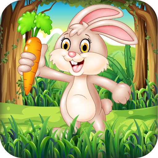 Bunny Jungle Run Adventure icon