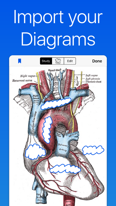 Anatomy and Physiology GO screenshot 2