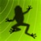 The beautiful High Definition remake of Ancient Frog, for the iPad