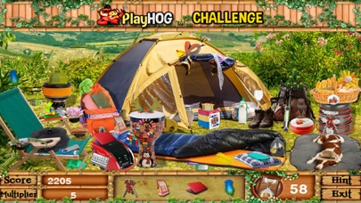 How to cancel & delete Gone Camping Hidden Objects from iphone & ipad 1