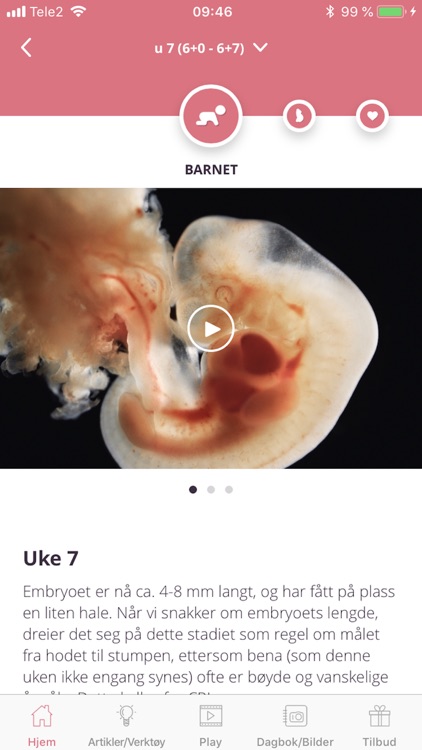 Preglife - Gravid & Baby