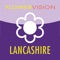 The  Flowervision Lancashire App offers our most recent stock