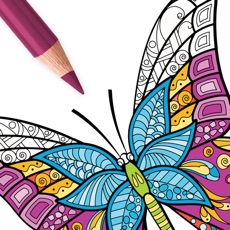 Activities of Adult Butterfly Coloring Book