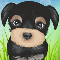 Cute Puppies Puzzle pour PC