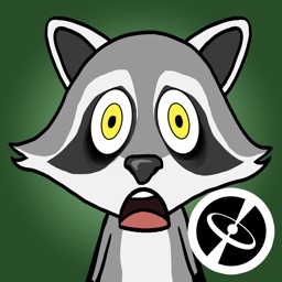 Raccoon - Animated stickers