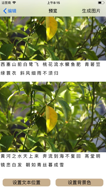 生成长图 text convert to image screenshot-7