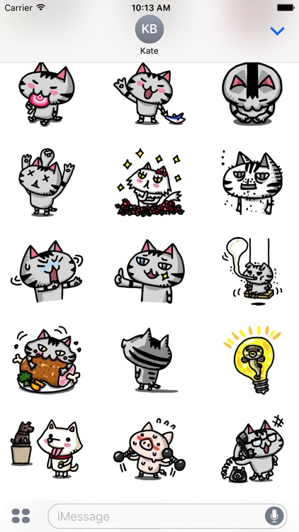 Crummy the cutie cat