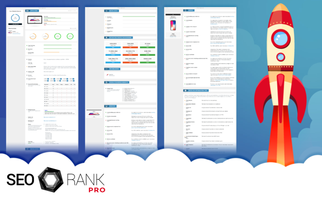 SEO Rank Pro