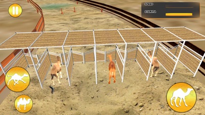 Desert King Camel Race screenshot 2