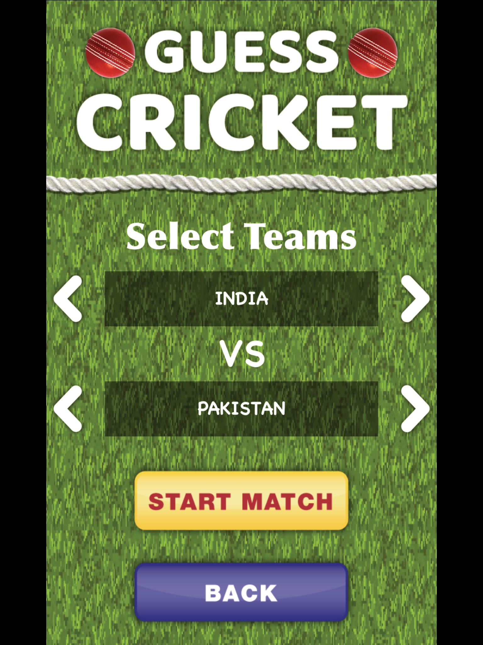 Guess Cricket 2018 screenshot 4