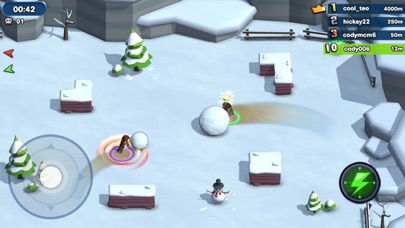 Snowball.io screenshot 3