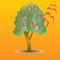 Short Meditations on Nature includes three audios designed to quickly help you relax and pleasantly focus on natural images