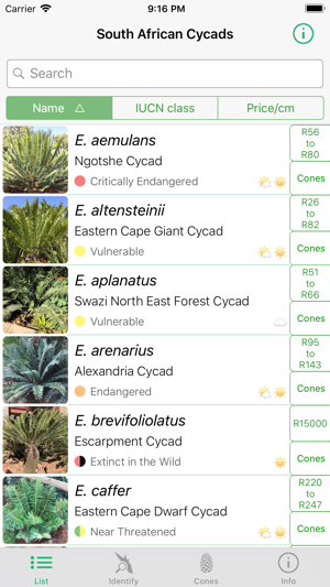 SA Cycads(圖1)-速報App