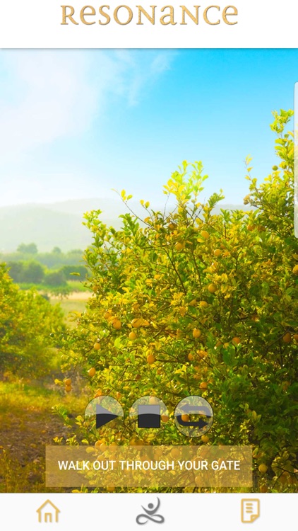 Resonance Meditations screenshot-4