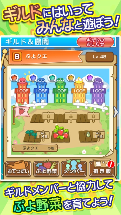 ぷよぷよ!!クエスト -簡単操作で大連鎖。爽快 パズル!