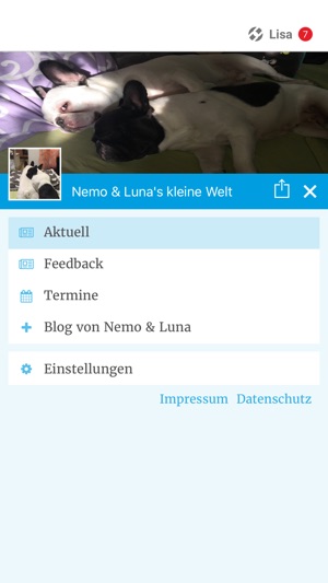 Nemo & Luna's kleine Welt(圖2)-速報App