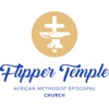 Flipper Temple AME