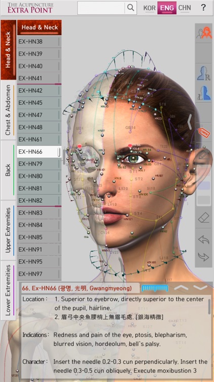 The Acupuncture of Extra Point