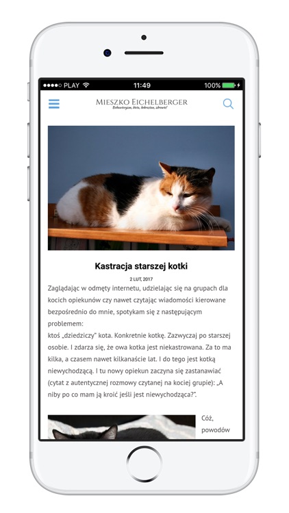Kocie Porady screenshot-3