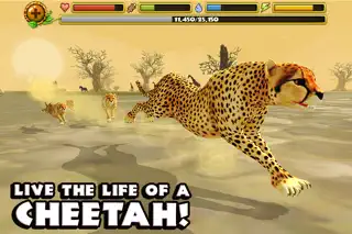 Cheetah Simulator - Screenshot 1