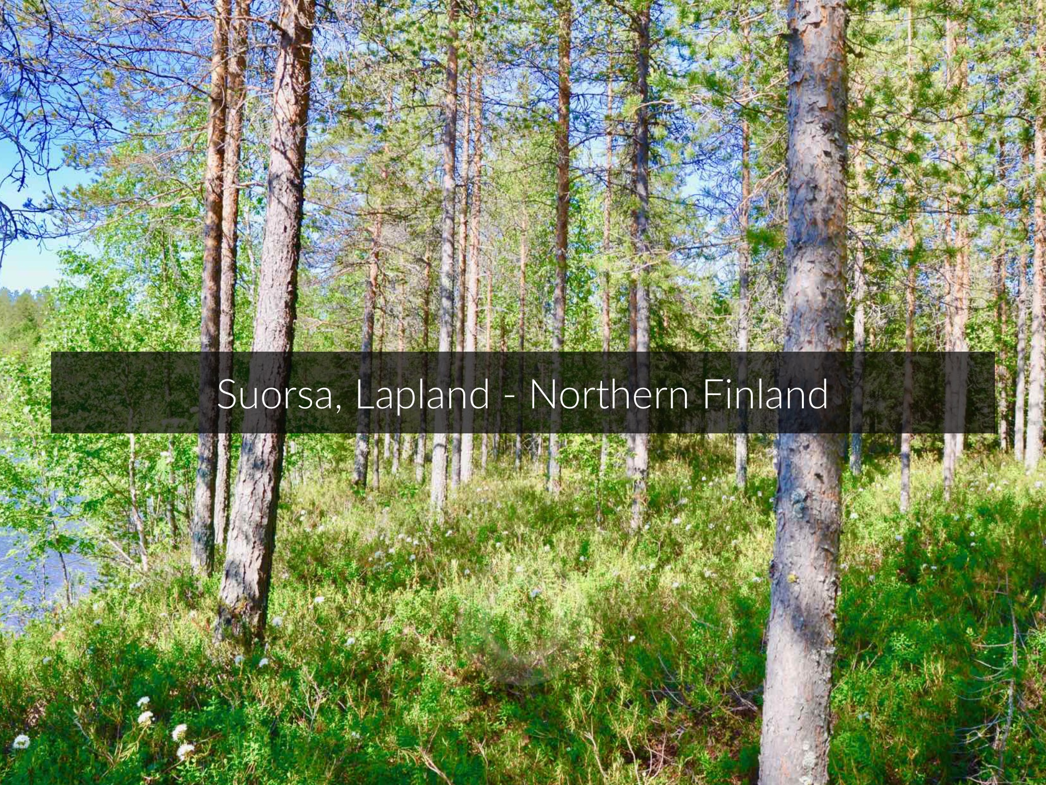 Walk In Finland screenshot 3